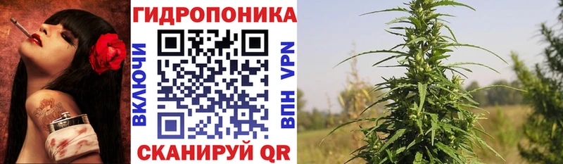 Наркошоп купить КОКАИН  Меф мяу мяу  Alpha-PVP  Галлюциногенные грибы  МАРИХУАНА  Дальнегорск