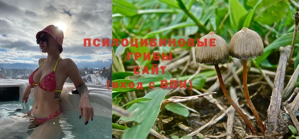 ешки Губаха