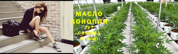 хмурый Кодинск