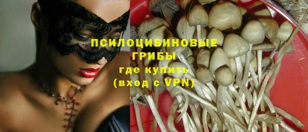 крисы Киренск